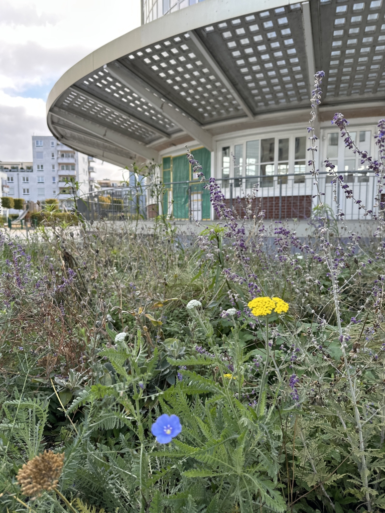 20251010_105510706_iOS